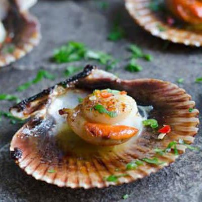 Juicy Scallop